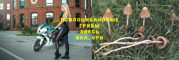 а пвп мука Абдулино