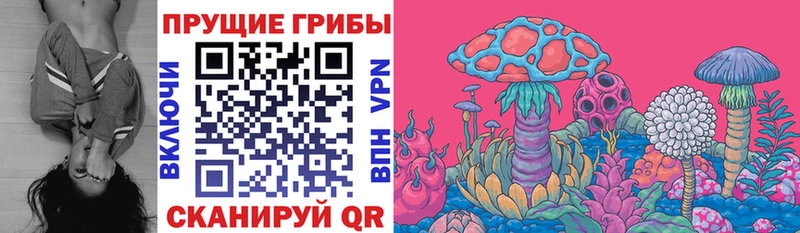 Галлюциногенные грибы Psilocybe  Черепаново 